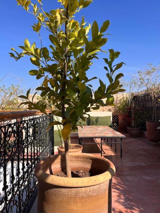 Riad Dar Fannan En Exclusivite Marrakesh Buitenkant foto